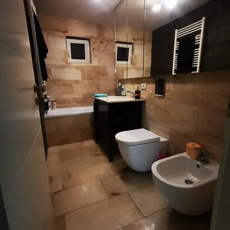 Luxury Apartment. 10 Minutes Taxi Ride To Center Appartement Timişoara